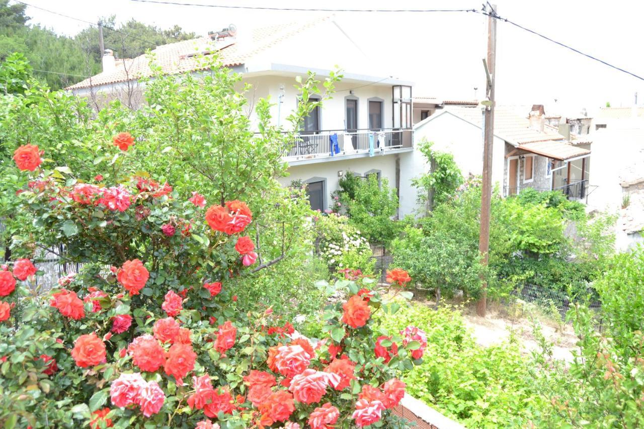 Lazatka Flat In Capital Chora Apartment Samothraki Ngoại thất bức ảnh